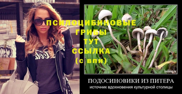 таблы Липки