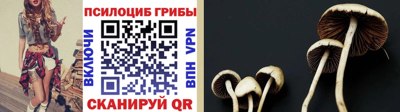 дарнет шоп Лангепас Псилоцибиновые грибы мухоморы